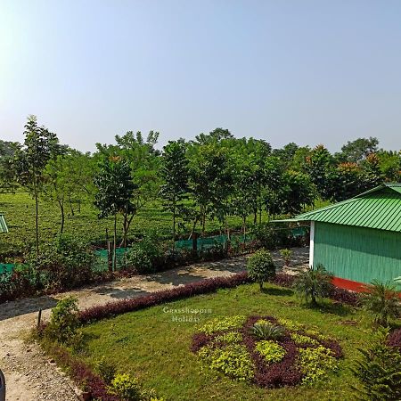 Grasshopper Jungle Queen Resort Chalsa Экстерьер фото