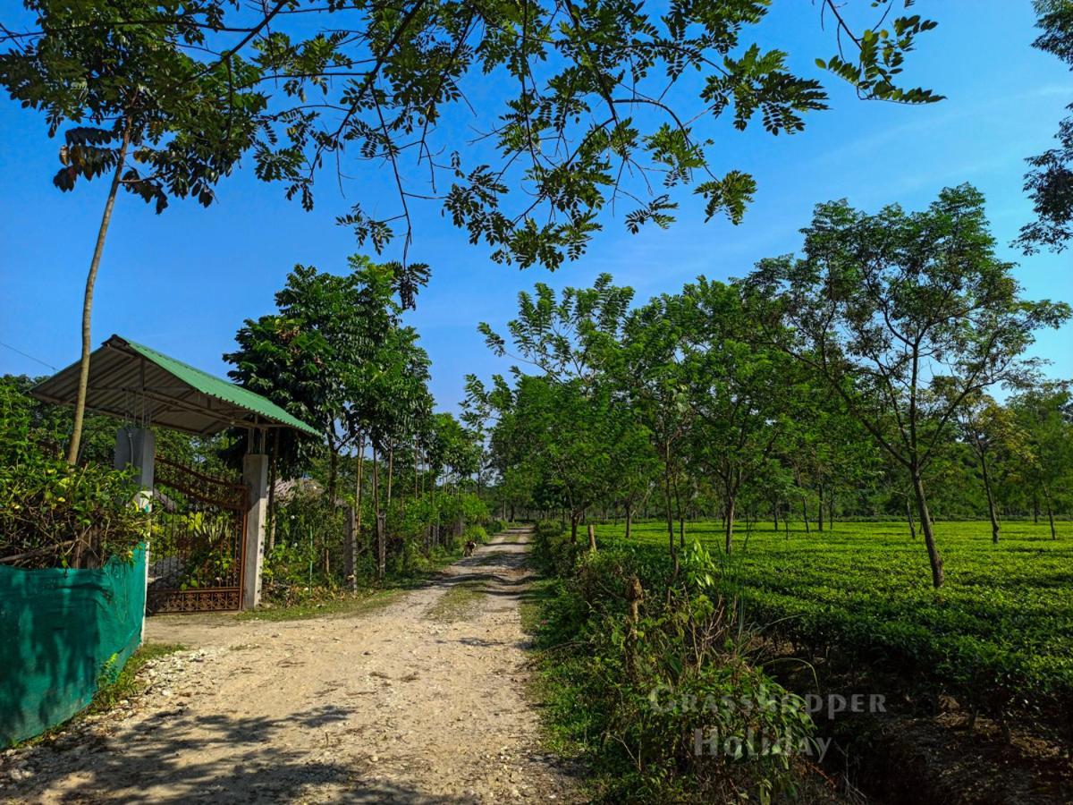 Grasshopper Jungle Queen Resort Chalsa Экстерьер фото