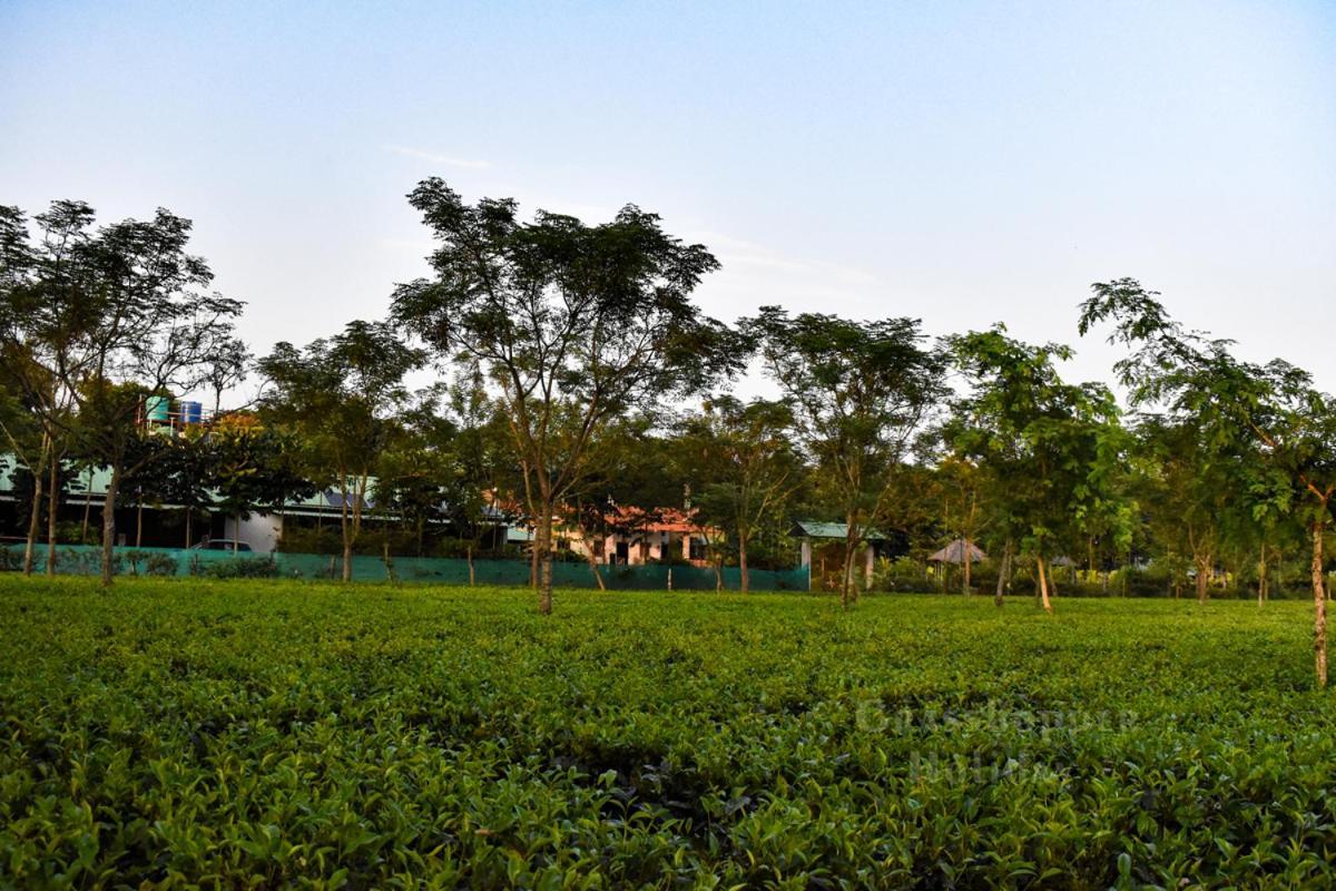 Grasshopper Jungle Queen Resort Chalsa Экстерьер фото
