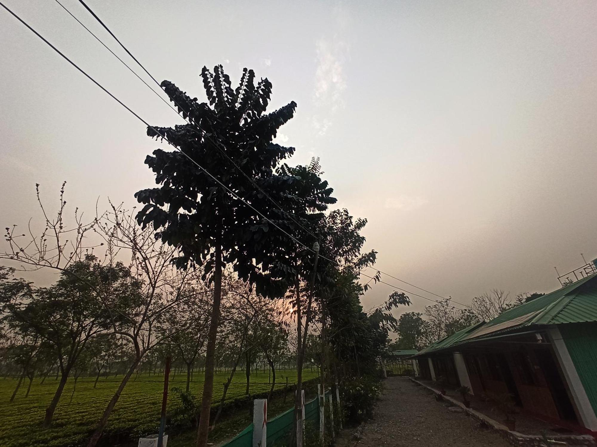 Grasshopper Jungle Queen Resort Chalsa Экстерьер фото