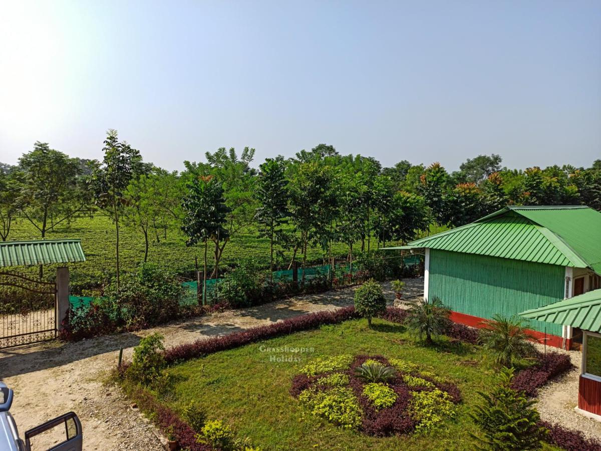 Grasshopper Jungle Queen Resort Chalsa Экстерьер фото