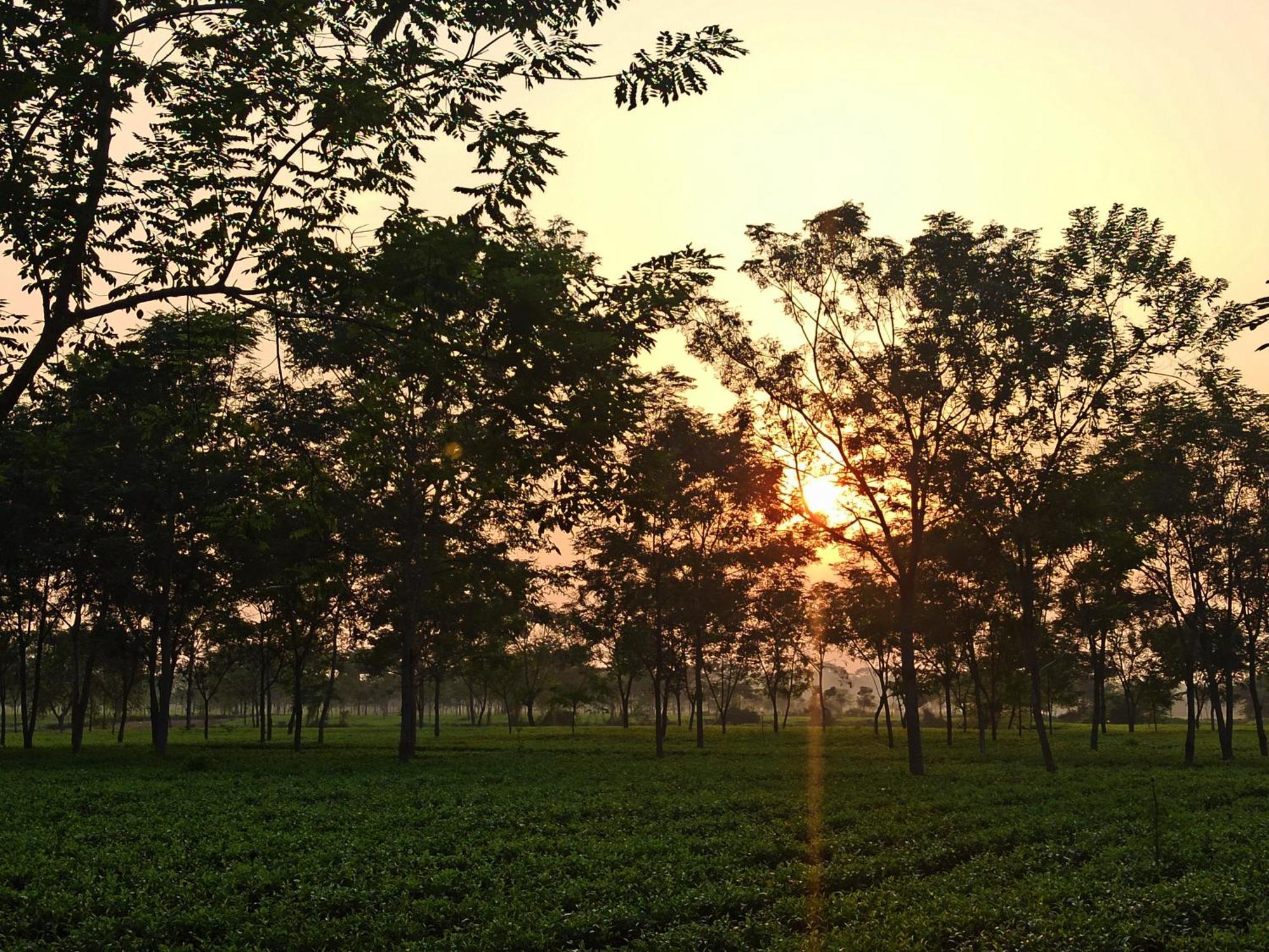 Grasshopper Jungle Queen Resort Chalsa Экстерьер фото