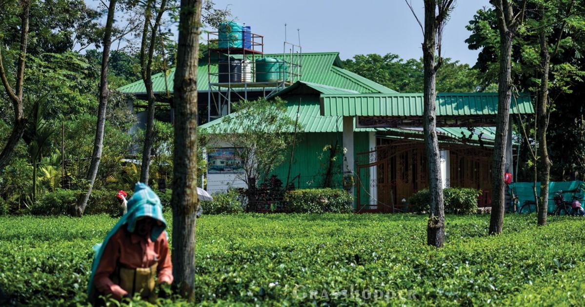 Grasshopper Jungle Queen Resort Chalsa Экстерьер фото